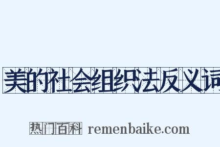 美的社会组织法反义词是什么意思的图片